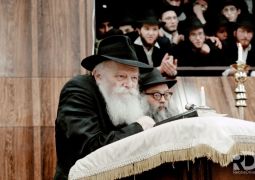 "כִּי יוֹם נָקָם בְּלִבִּי וּשְׁנַת גְּאוּלַי בָּאָה" (מתוך הפטרת השבת)